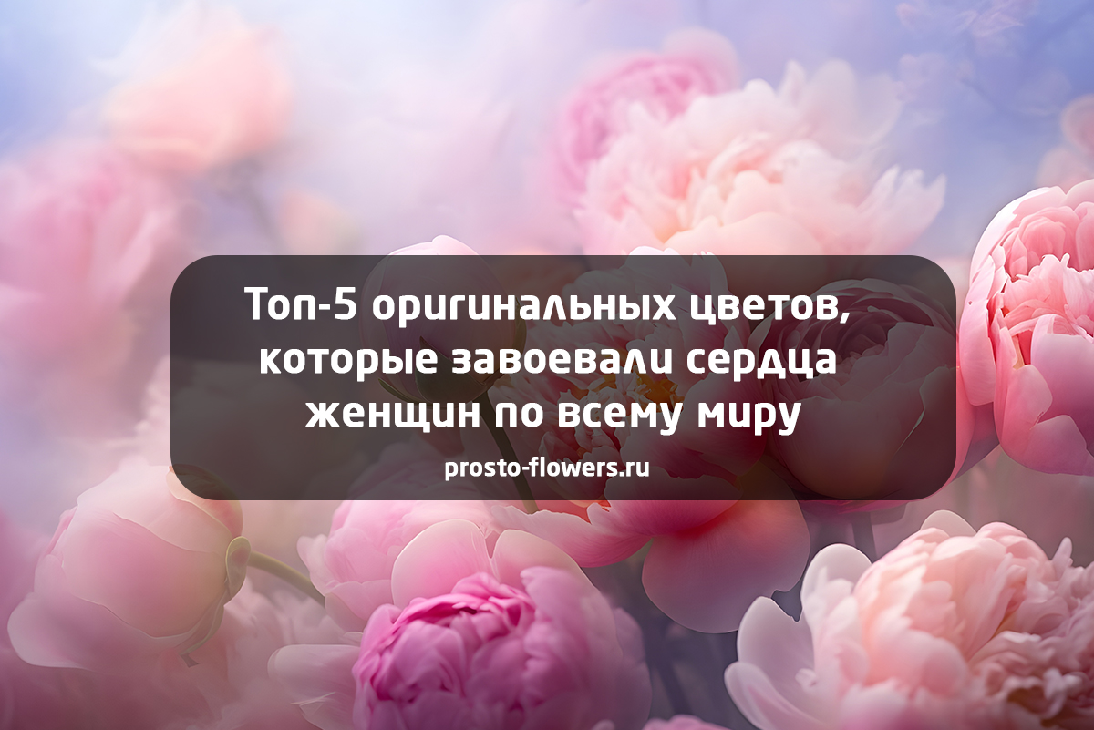 Топ-5 оригинальных цветов для женщин